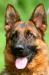 AJAX  Mother Face(Isabella Aus Famke)