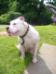 Zen at 2.5 years