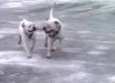 play time