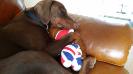 40 winks....