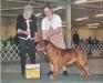 Show pics