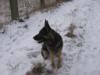 Jocie