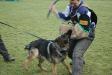 protection work training 