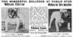 Melbourne Kilmahew's 1917 Ad