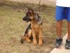 Fayza 20090307