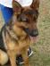 Loki 20090307