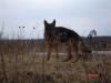 Loki 20090307