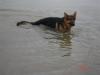 Loki 20090307