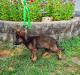 12wks