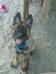 15weeks at the beach