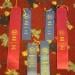 Fiera&#x27;s 1st UKC Show ribbons  @ Age 6 months 