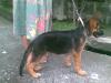 3 mos and 1wk