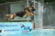 Dock diving 2018