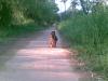 at the river park trail
