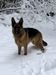 snow