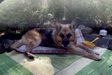 She is gone 14.6.2020. 14 years 9 months I got to share with her. &lt;3 eila