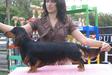 Playboy at 10 months old