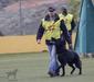 Selectiva canarias 2022