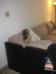 Puppy Pictures