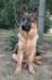 6 month old