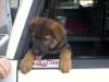 TJ going for a ride