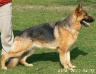 KIRA - 2 Jahre