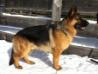 12 month old