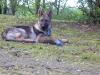 4 months old