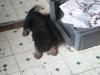 PLAY TIME