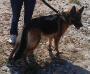 Pictures of Luma