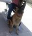 Pictures of Luma