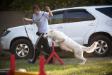 Agility