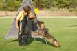 6 months old, participation in Davide Codebue seminar