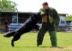Training TZ Kreuzgrund
