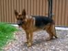 Thor, 09.12.2012
