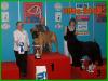 International Dog Show Nitra 2010 - CAC, CACIB,BOB, BOG