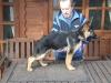 März 2008 Leska ist hier 17 Wochen alt