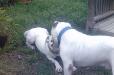 play time
