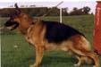 Holeck du Val D'Anzin (1992) LOF 418326 Picture
