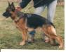 Rena von der Wilhelmswarte Picture