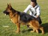 Essi Team Agrigento Picture