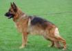 Usa vom Godecke Michels Picture