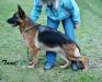 Opaya von Antheus Picture