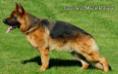 Cash aus Mecklenburg Picture