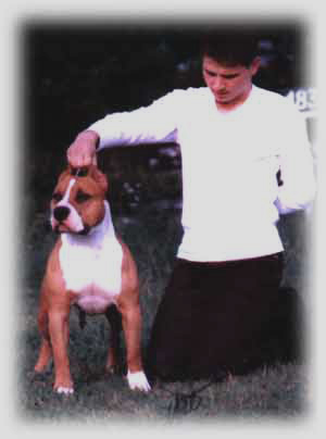 OSTRUM CH, Cool Wind Kennel Buffalo