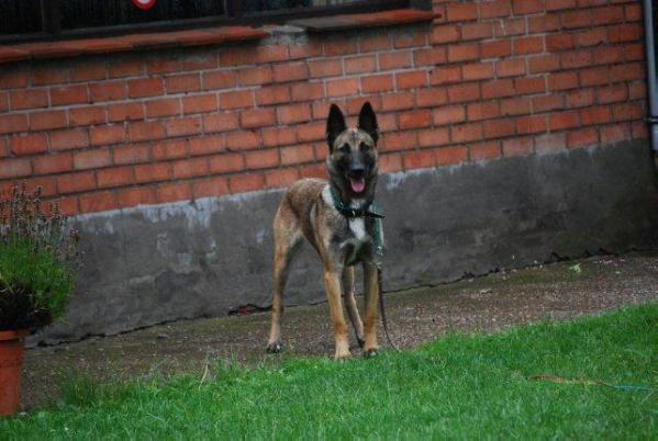 LUMA van't Resterhof