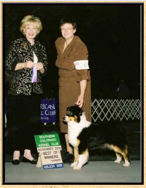 AKC/ASCA/UKC CH Outlaws Totally Divine