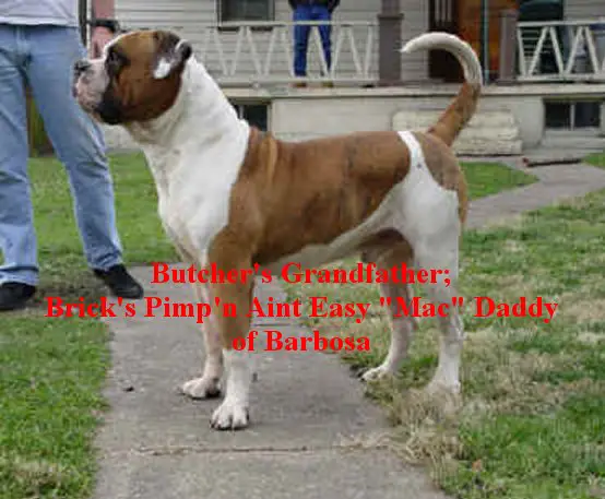 Brick's Pimp'n Aint Easy