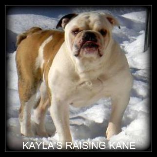 Kayla's Raising Kane