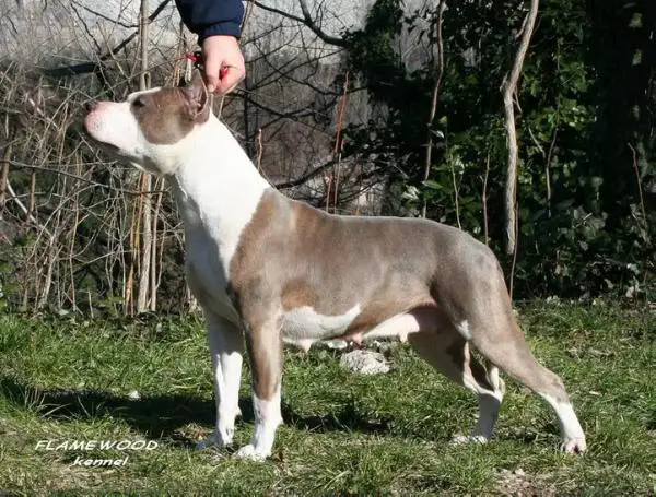 Flamewood's Key West